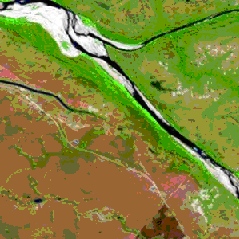 Example of Landsat 7 Sub-sampled Image