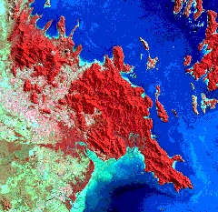 Landsat MSS Image